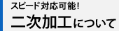 Xs[hΉ\I񎟉Hɂ