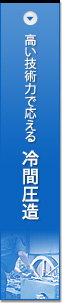 Zp͂ŉIԈ